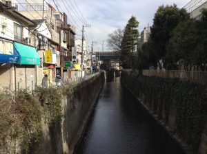 妙正寺川は下流で神田川に合流します